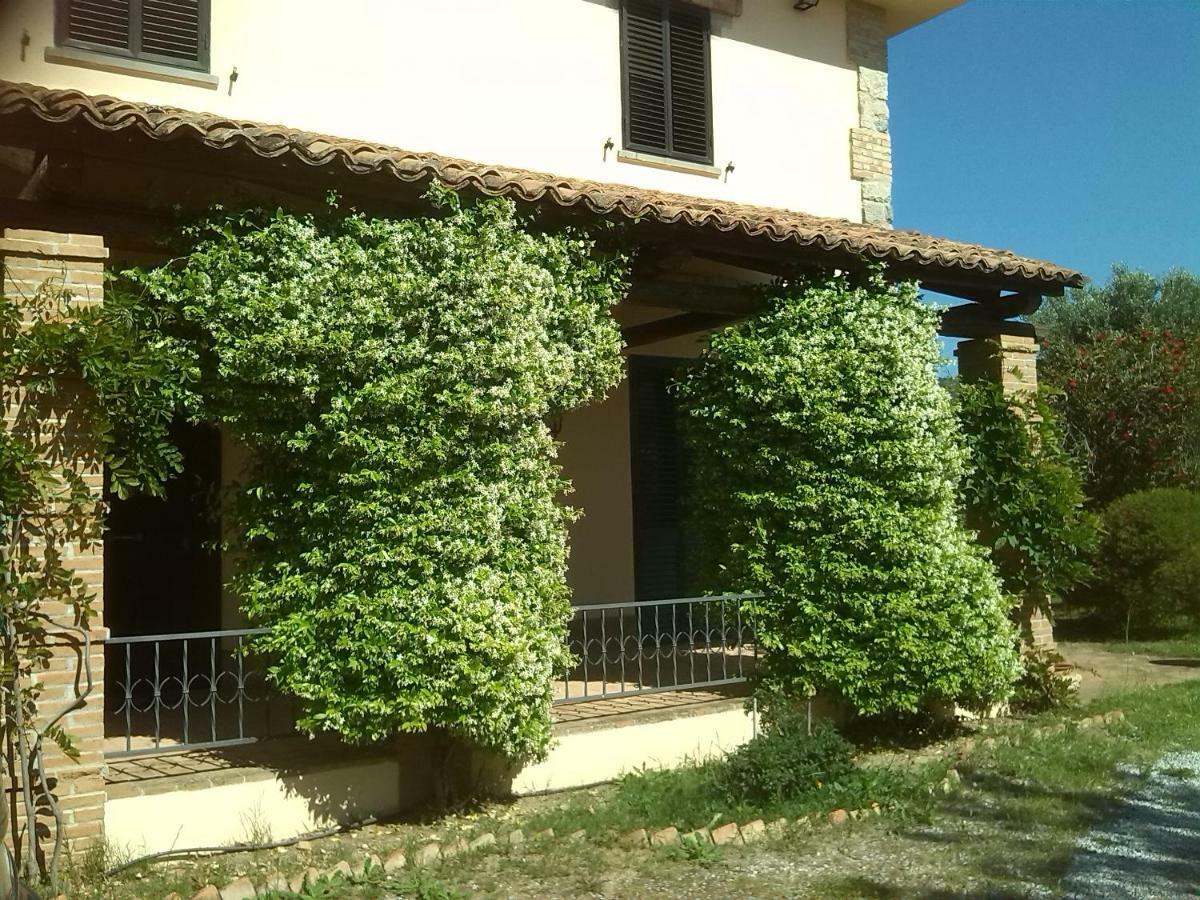 Pathirion B&B 罗萨诺 外观 照片