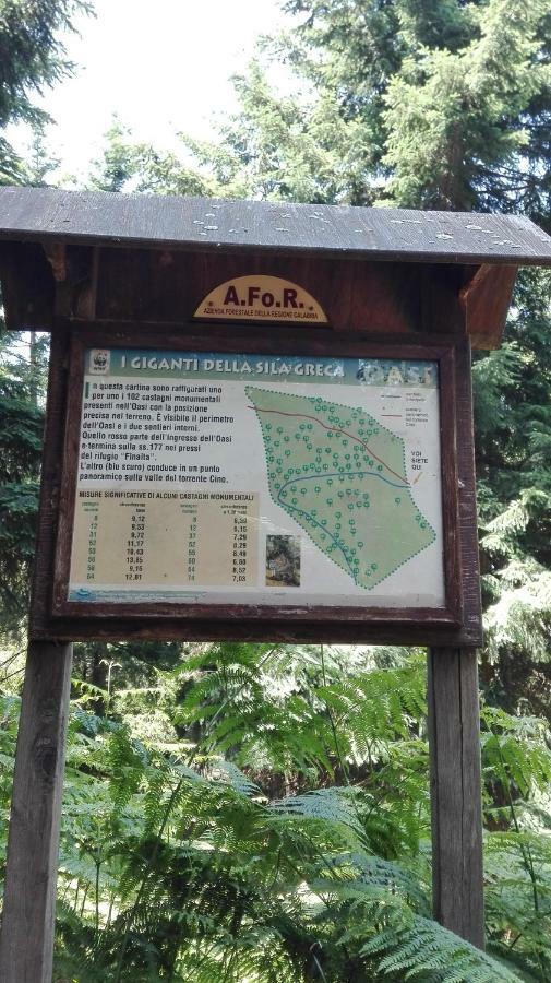 Pathirion B&B 罗萨诺 外观 照片